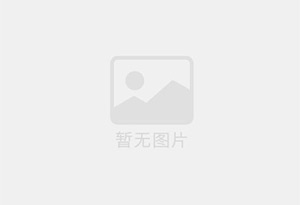 营养添加剂维生素B2